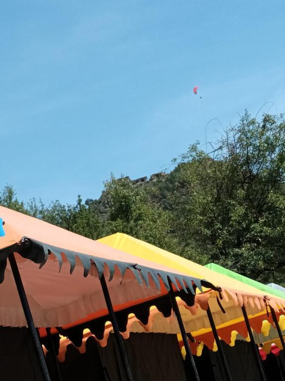 Дармсала: Jannat Hills - Camps Dhrarmshala