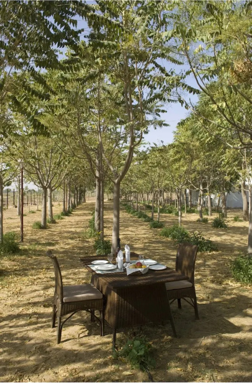Аджмер: The Green House Resort