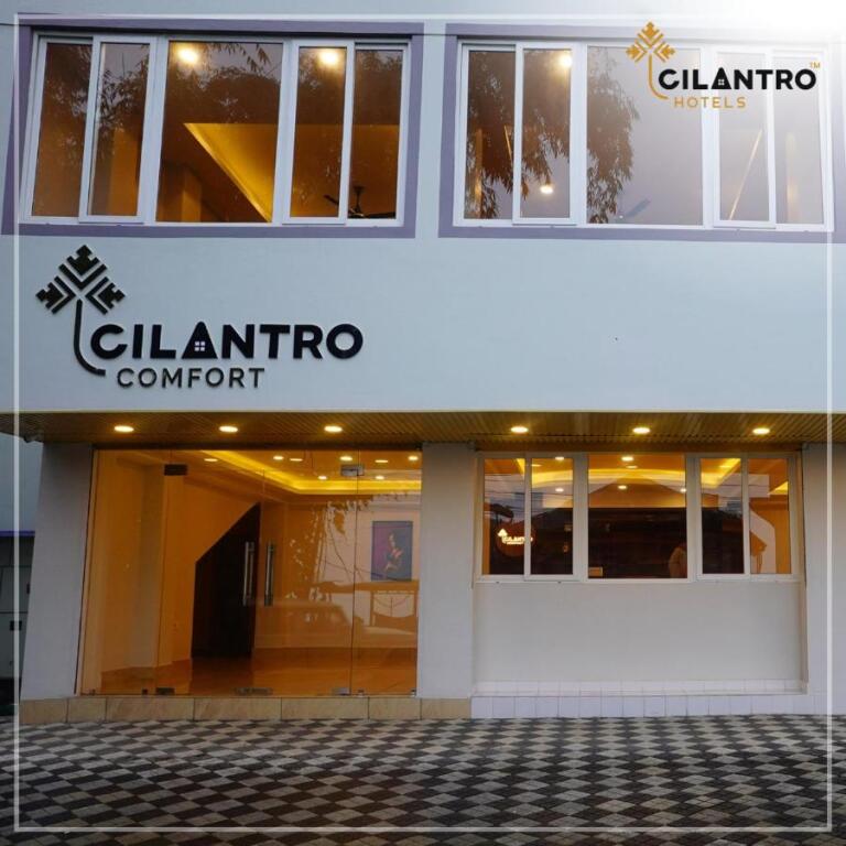 Cilantro Comfort — фото 1