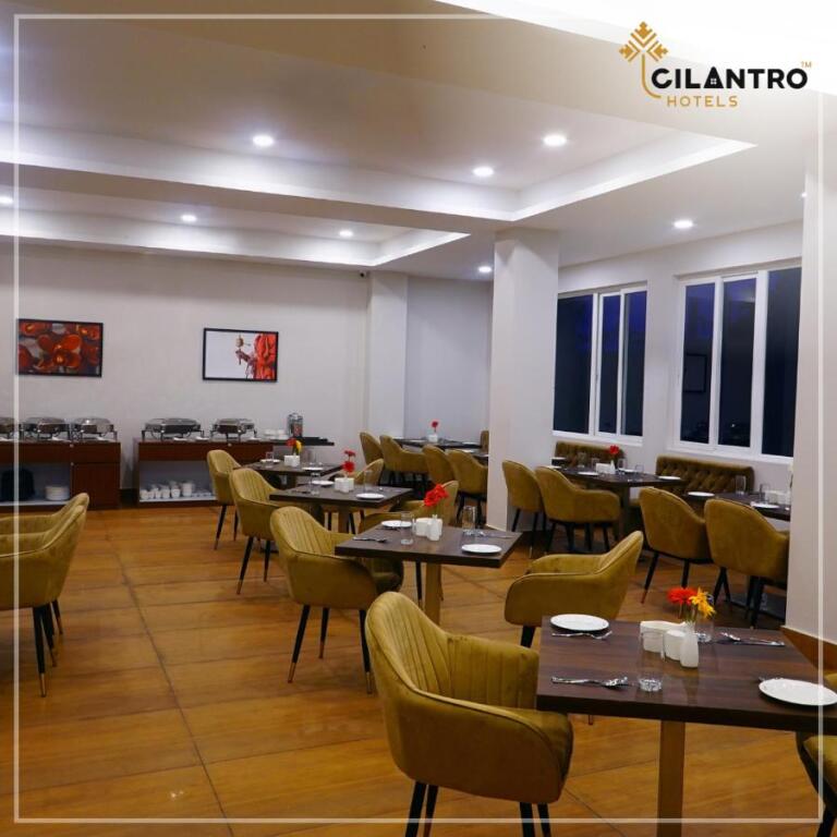 Гангток: Cilantro Comfort