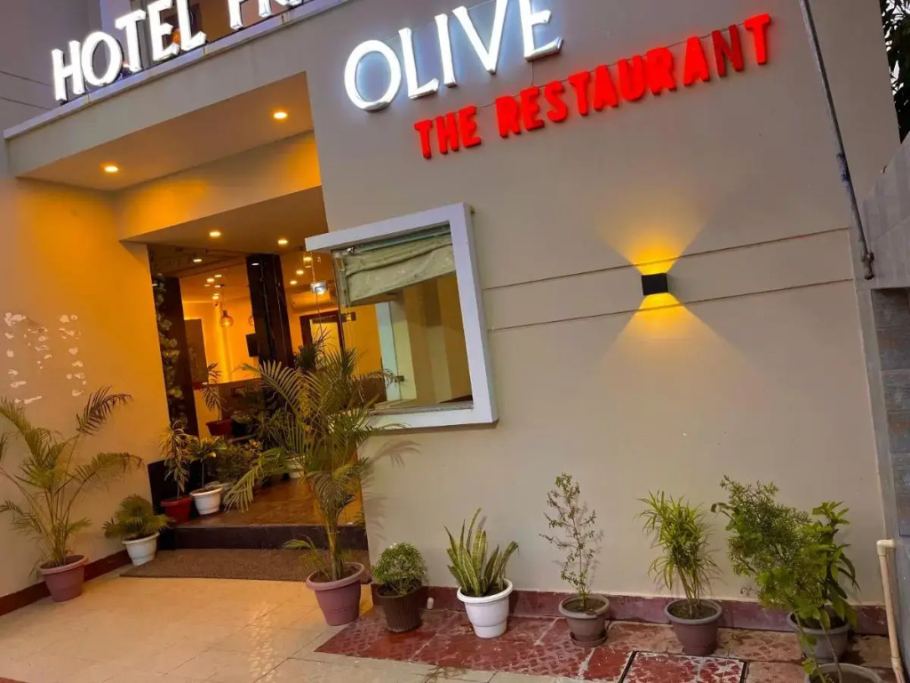 Hotel Olive — фото 1