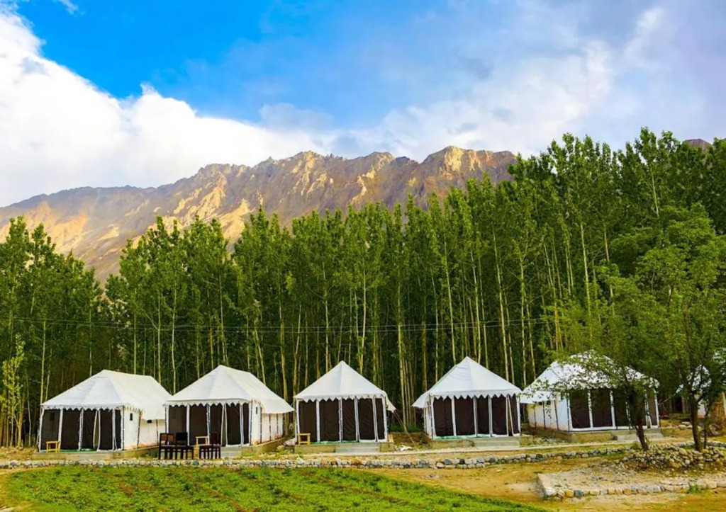 Хундер: Terrain Ladakh Camping Nubra