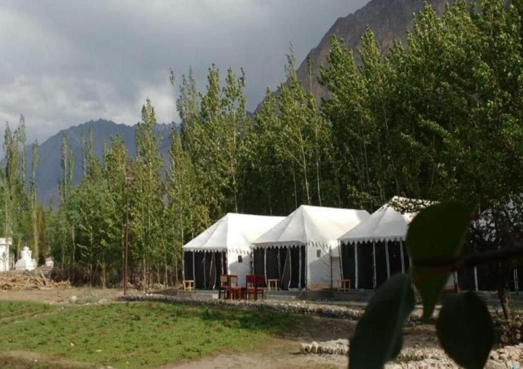 Хундер: Terrain Ladakh Camping Nubra