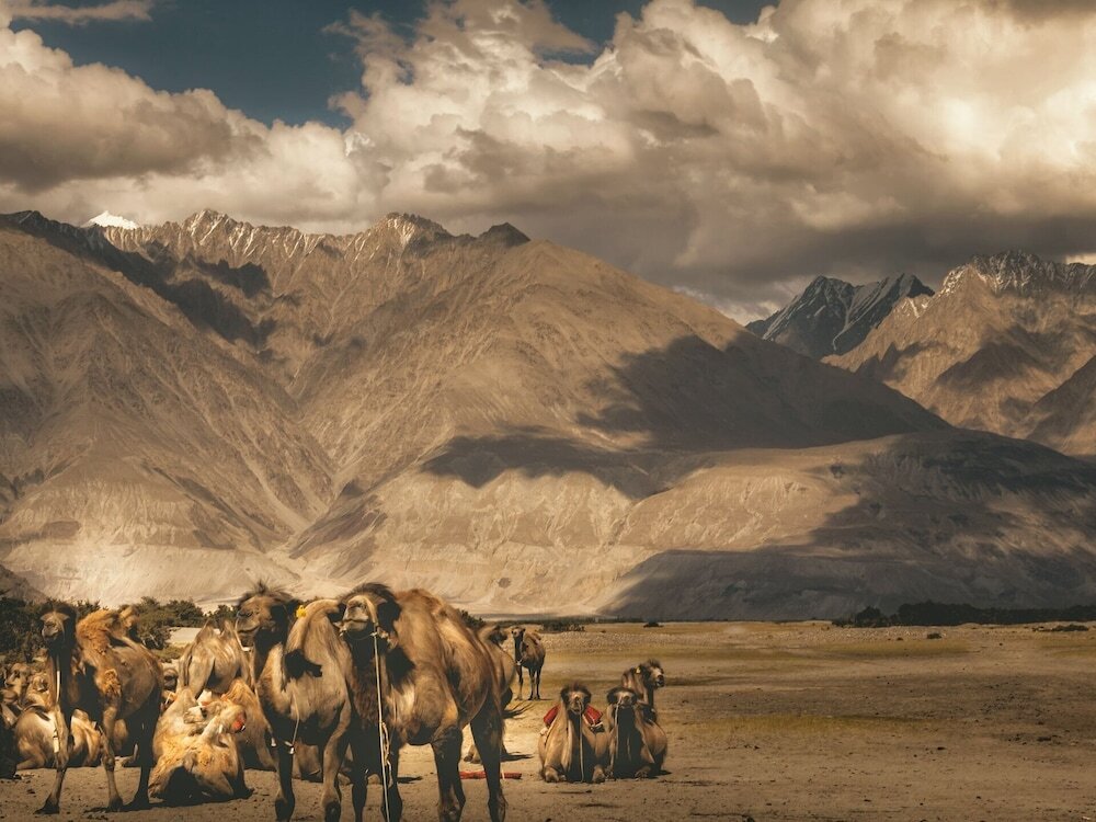 Хундер: The Grand Ghazi Clover Camp