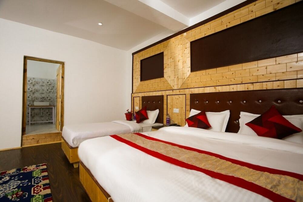 Хундер: Hotel Nubra Residency - Hunder