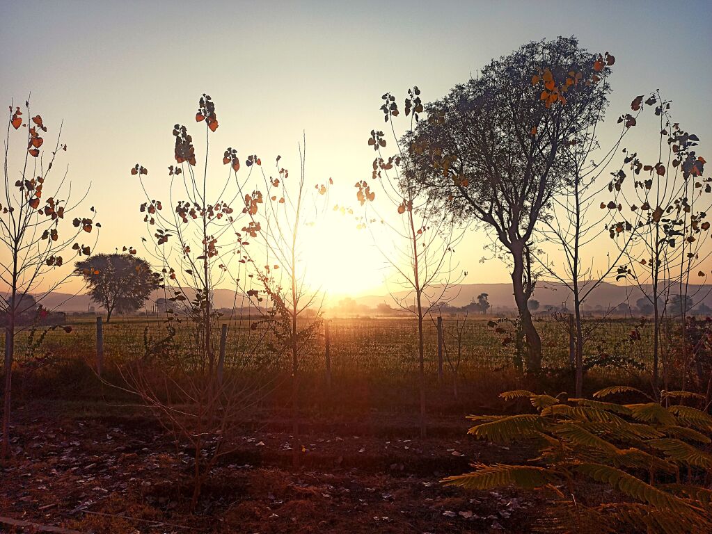 Коимбатур: Anantvan Ranthambore by Asapian Hotels