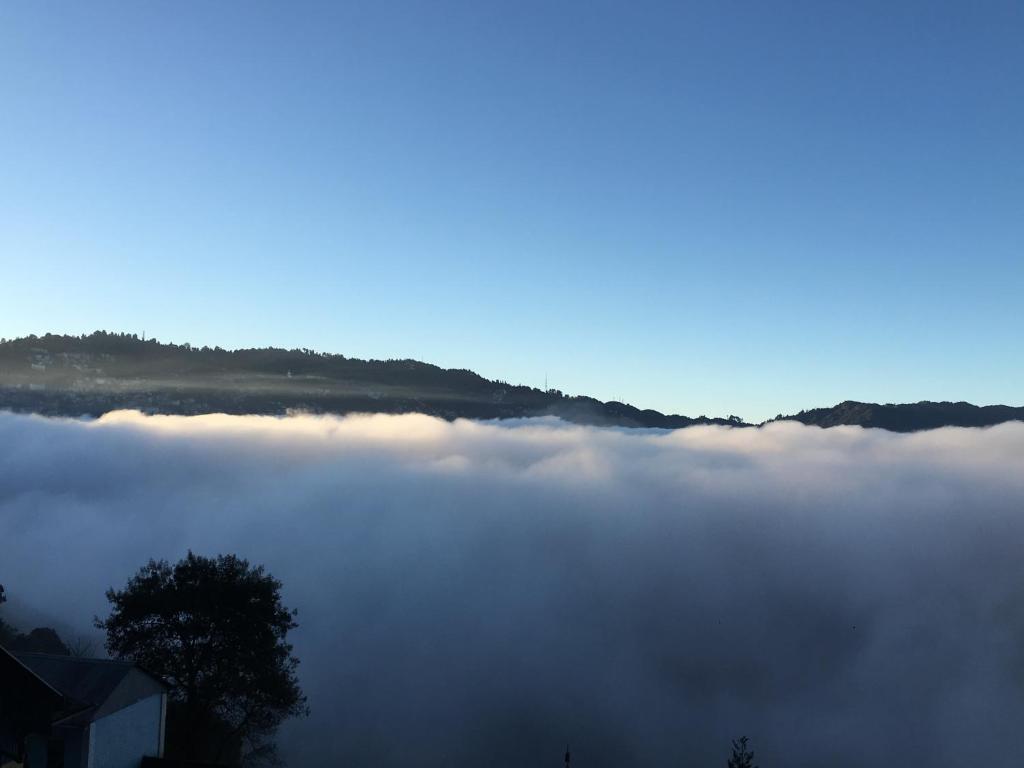 Пеллинг: Nature View Home Stay