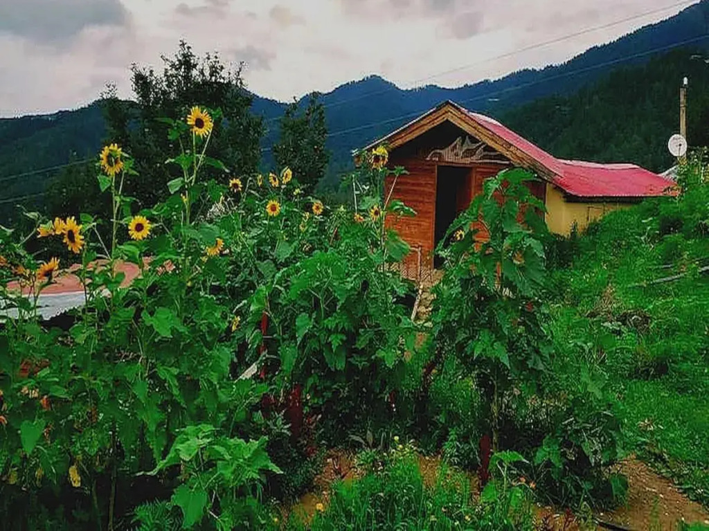 Куфри: OYO Flagship 702983 King''s Hills Cottages, Village Kuftu, Kufri