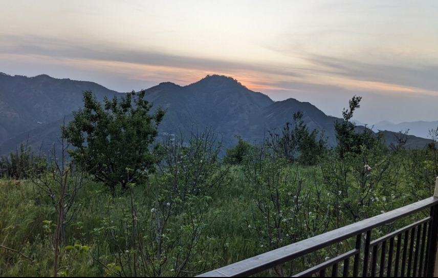 Куфри: The Orchard Green Shimla