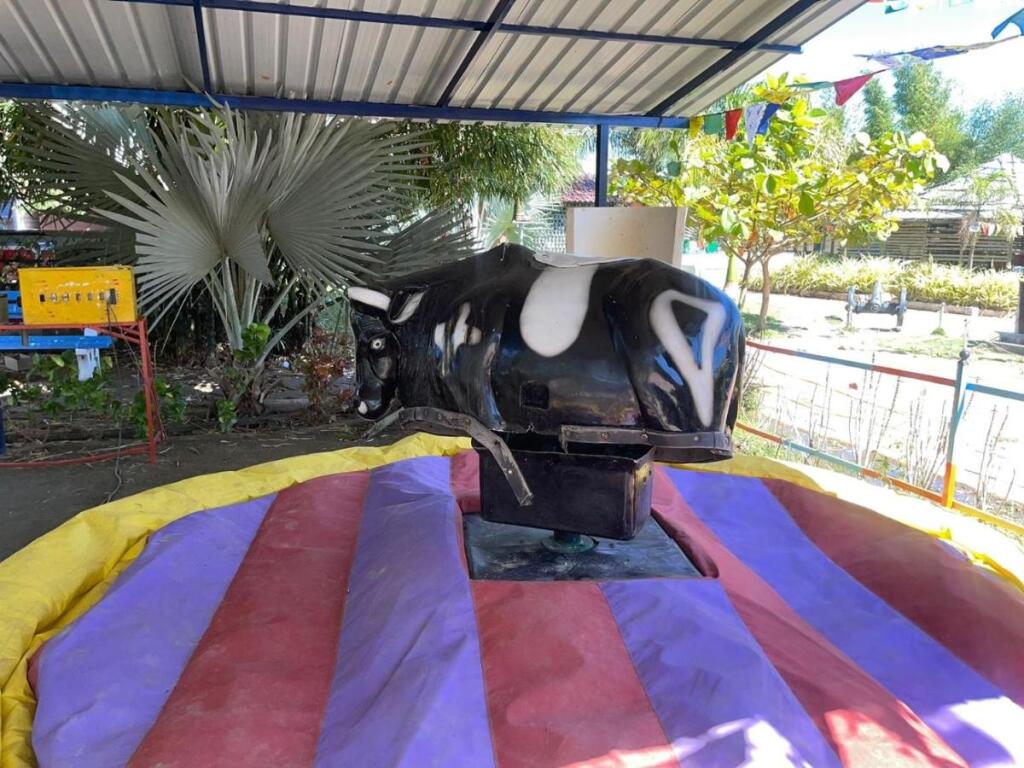 carousel image 4