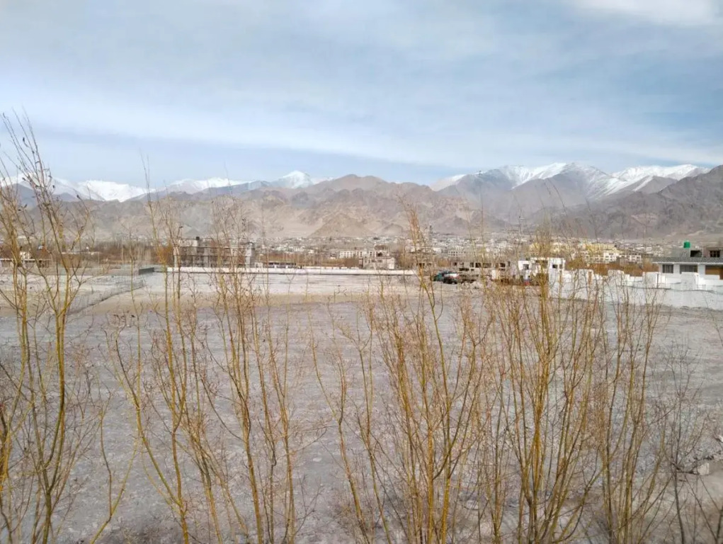 Лех: Stanzin Home Stay