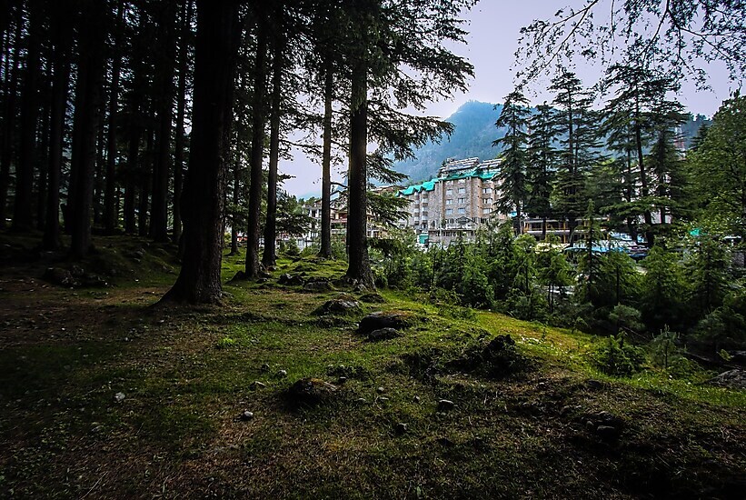 Манали: Olive County, Manali