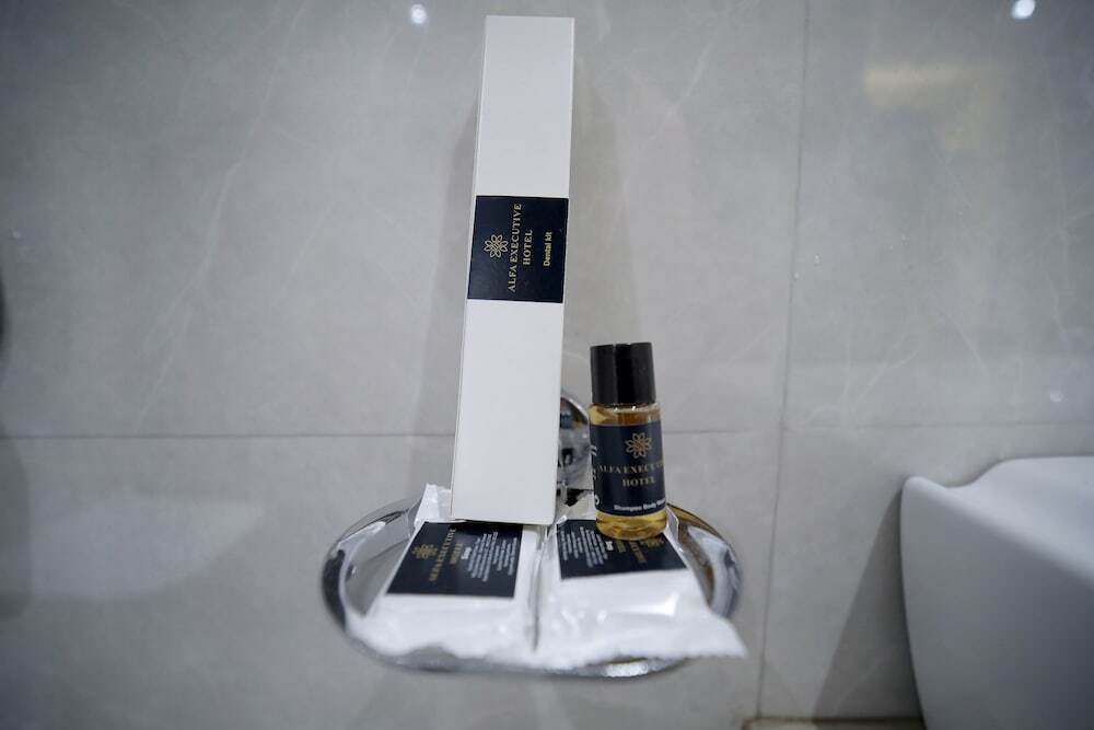 Мумбаи: Hotel Alfa Executive