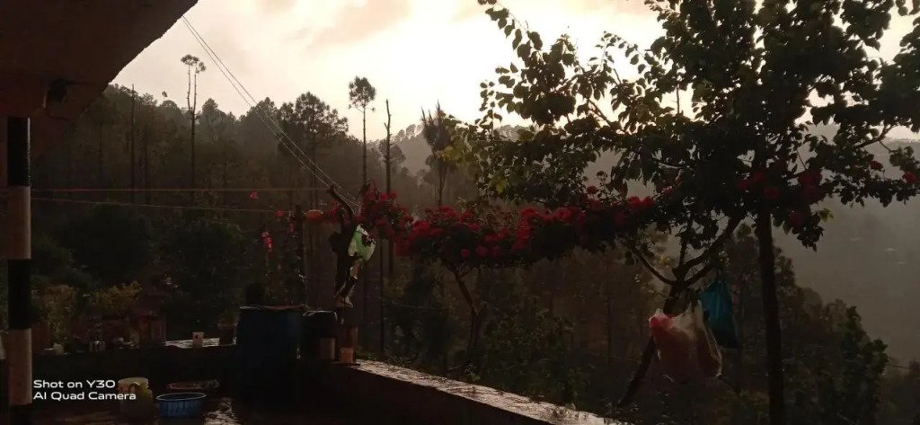 Раникхет: Kumaon Himalayan View