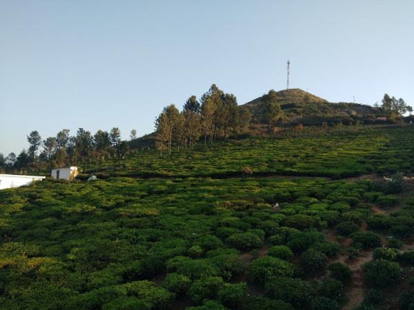 Ути: Mithun Hill View