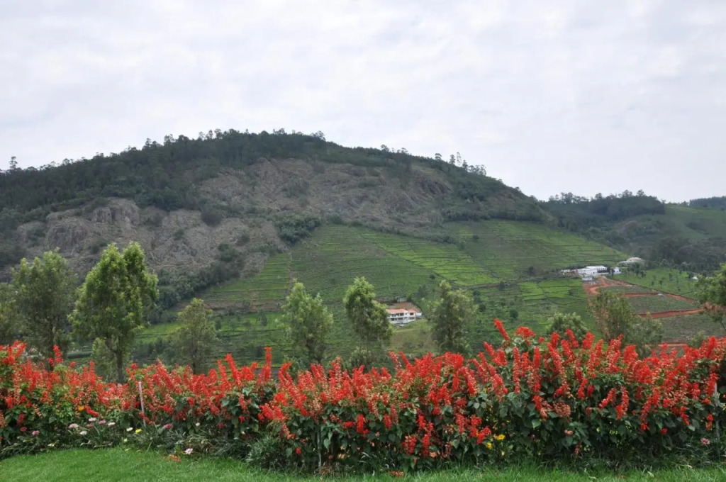 Кунур: Misty Meadows resort coonoor by lexstays