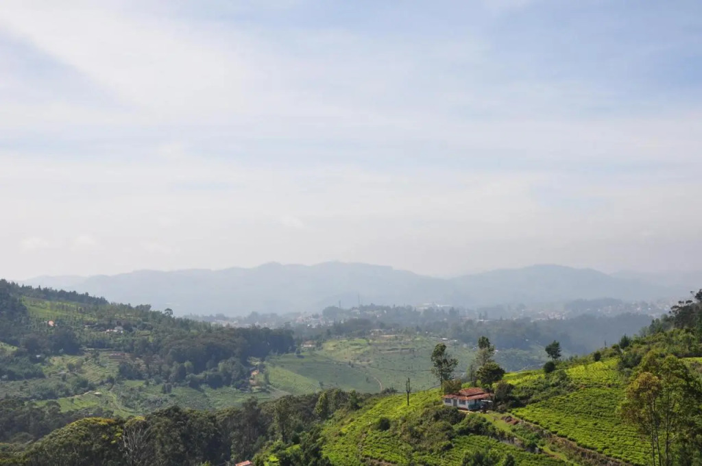 Кунур: Misty Meadows resort coonoor by lexstays