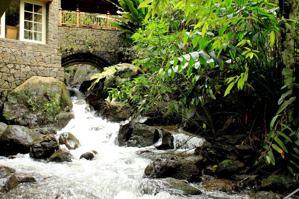 Идукки: Mystic Mayapott Thekkady