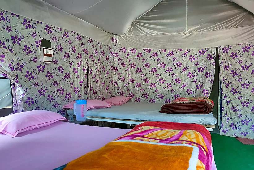Шивпури: Camp in Rishikesh