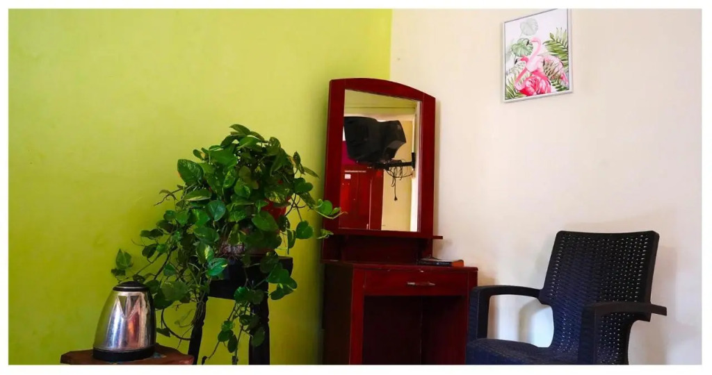 Южный Гоа: The Casa Nova Goa - Hotel & Art Cafe