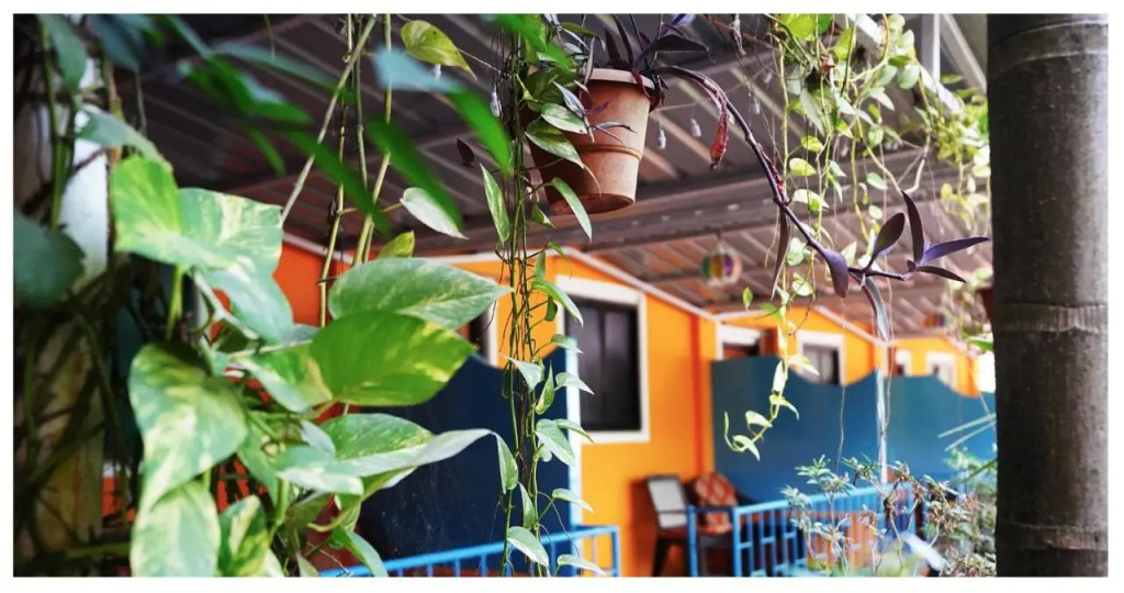 Южный Гоа: The Casa Nova Goa - Hotel & Art Cafe