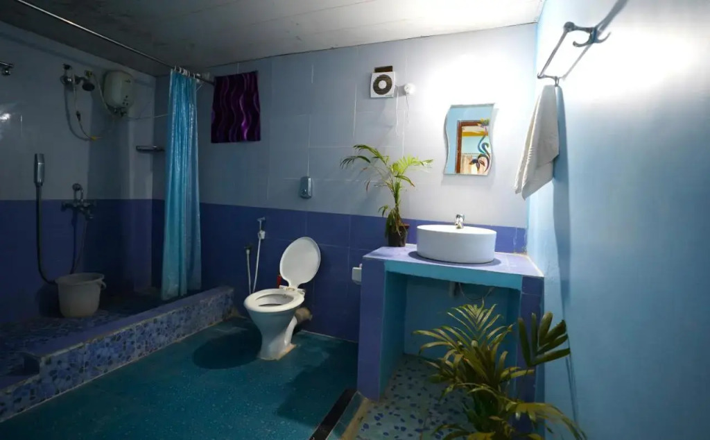 Южный Гоа: The Casa Nova Goa - Hotel & Art Cafe