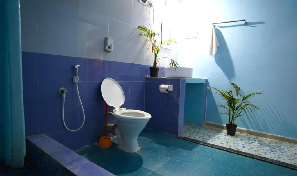 Южный Гоа: The Casa Nova Goa - Hotel & Art Cafe
