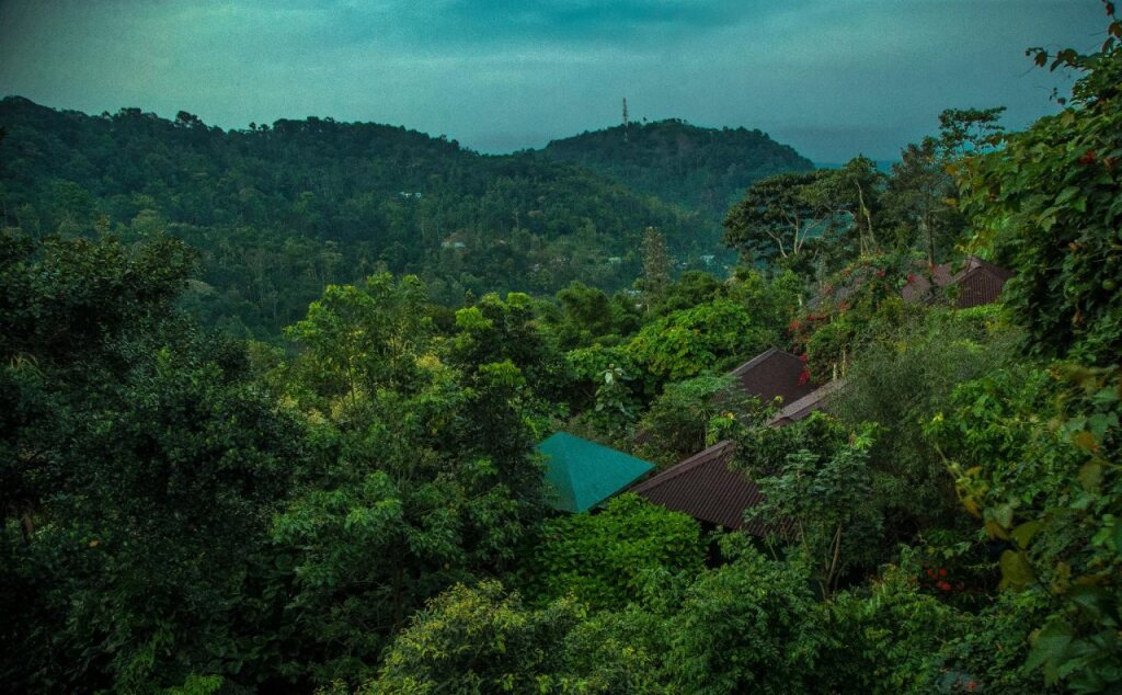 Муннар: Ecotones Camps Munnar