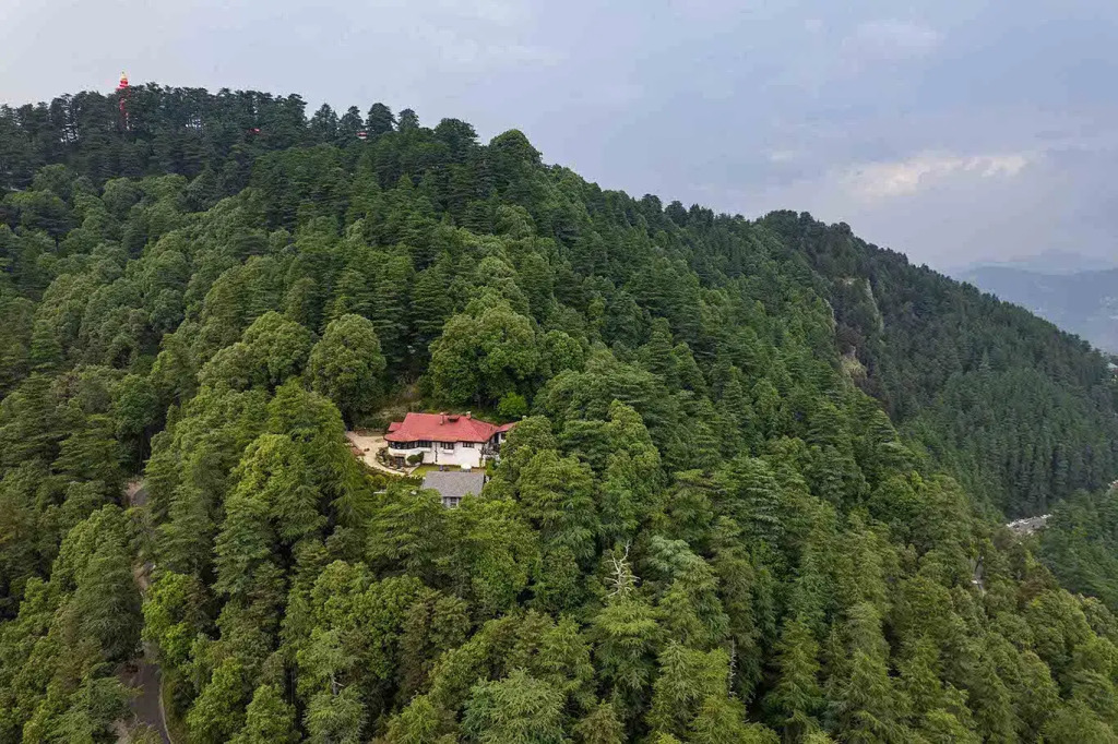 Шимла: Jungle House