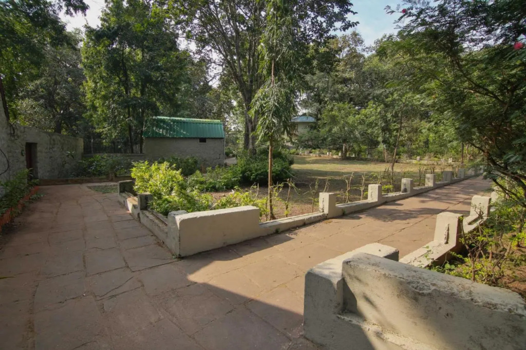Турья: Bison Retreat - Pench
