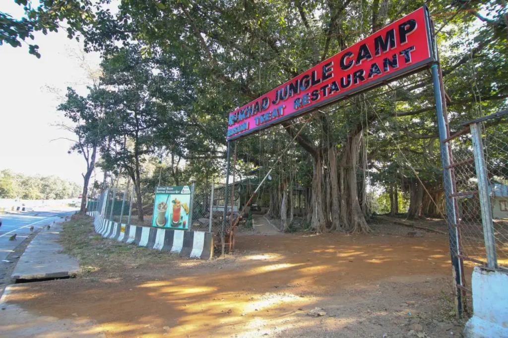Турья: Bison Retreat - Pench