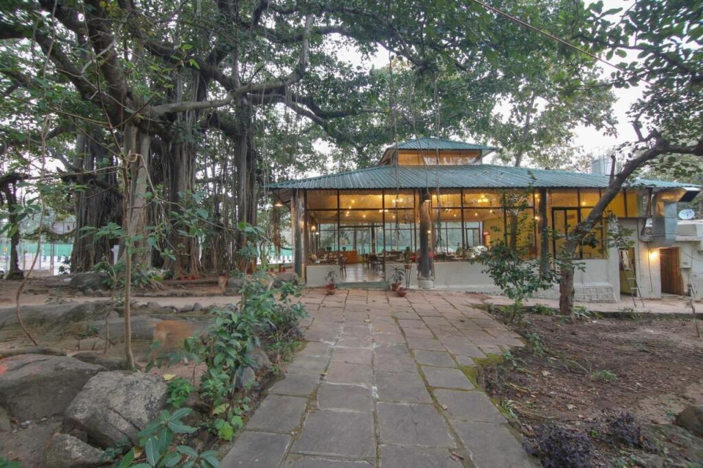 Турья: Bison Retreat - Pench