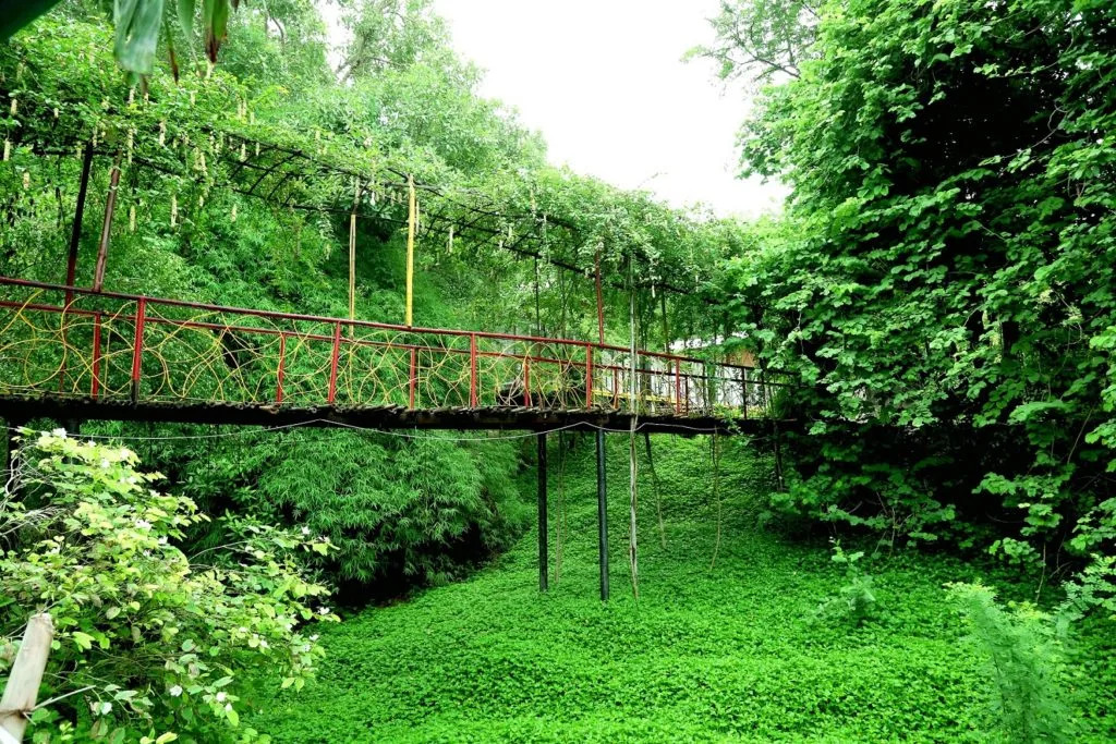 Вадодара: Orsang Camp