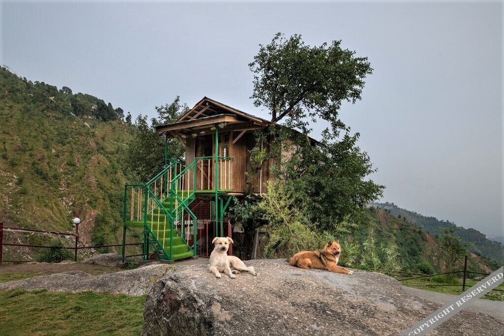 Кангра: Triund Camps Riverside Resort