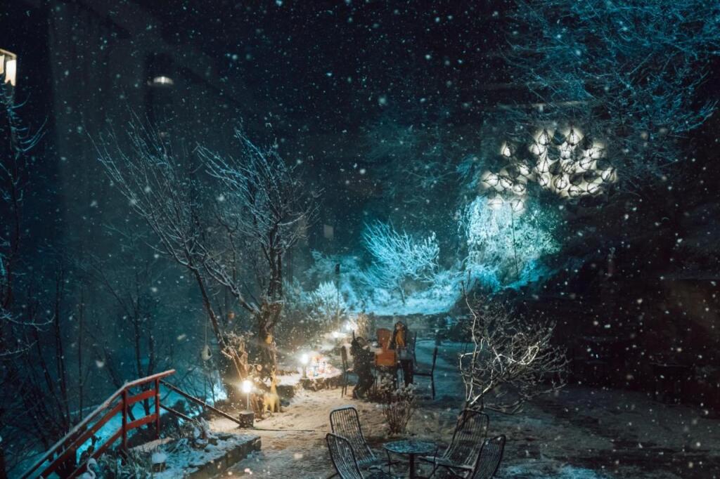 Манали: Saffronstays The Amlyn