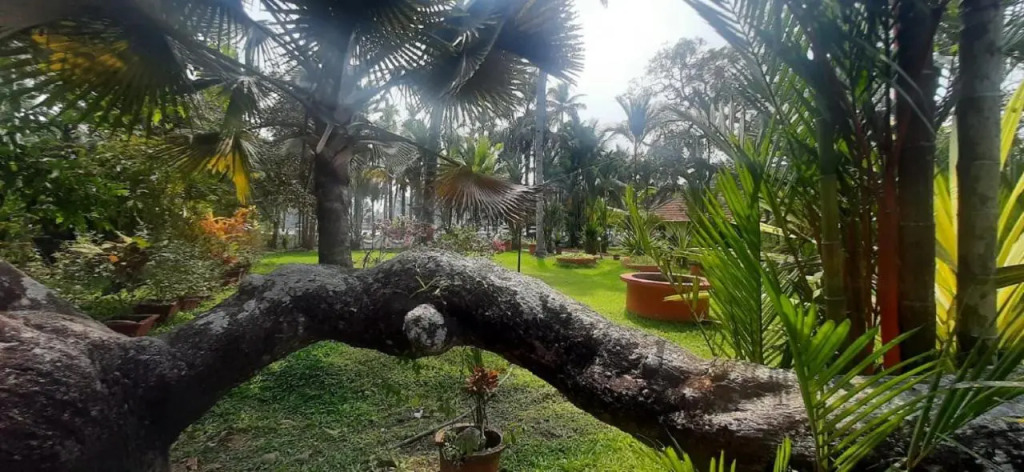 Мухамма: Kallupurackal Heritage Island Home By Lexstays