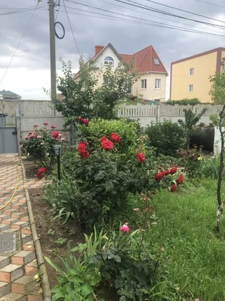 Береговое (Феодосия): Гостевой Дом Береговое