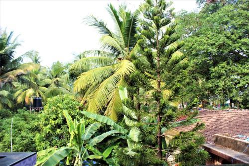 Южный Гоа: Baba Home Stay