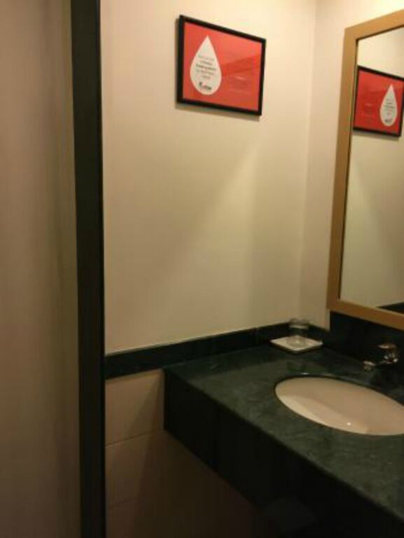 Нью-Дели: Red Fox by Lemon Tree Hotels, Delhi Airport