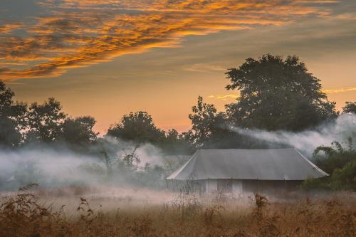 Турья: Jamtara Wilderness Camp