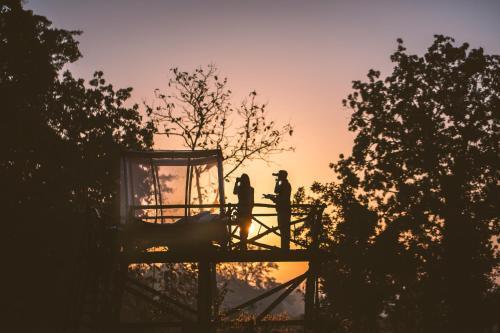 Турья: Jamtara Wilderness Camp