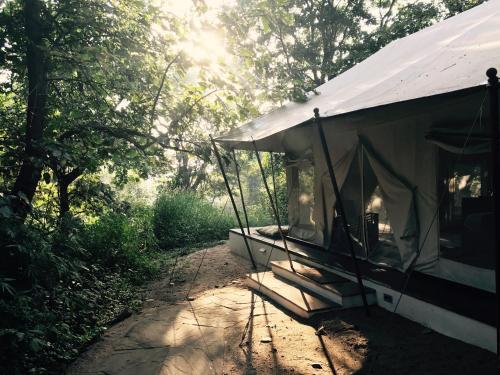 Турья: Jamtara Wilderness Camp