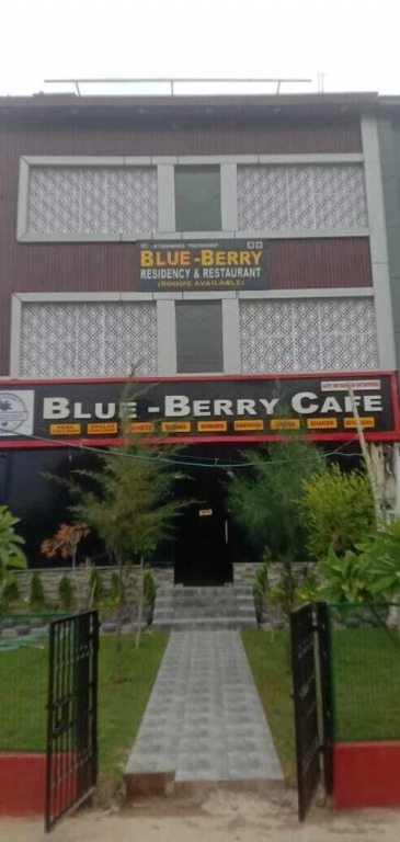 Большая Нойда: Blueberry Residency