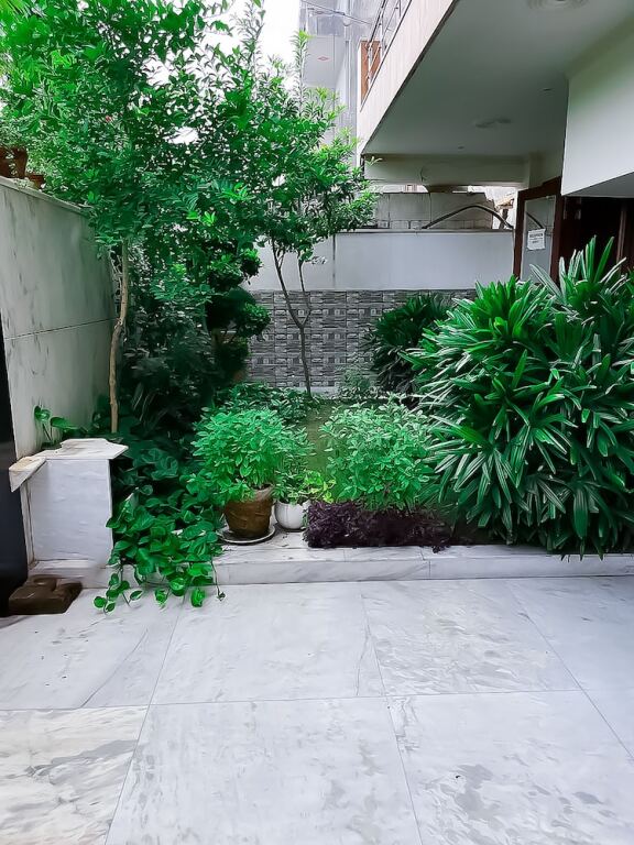 Нойда: Roomshala 117 Shubham residency