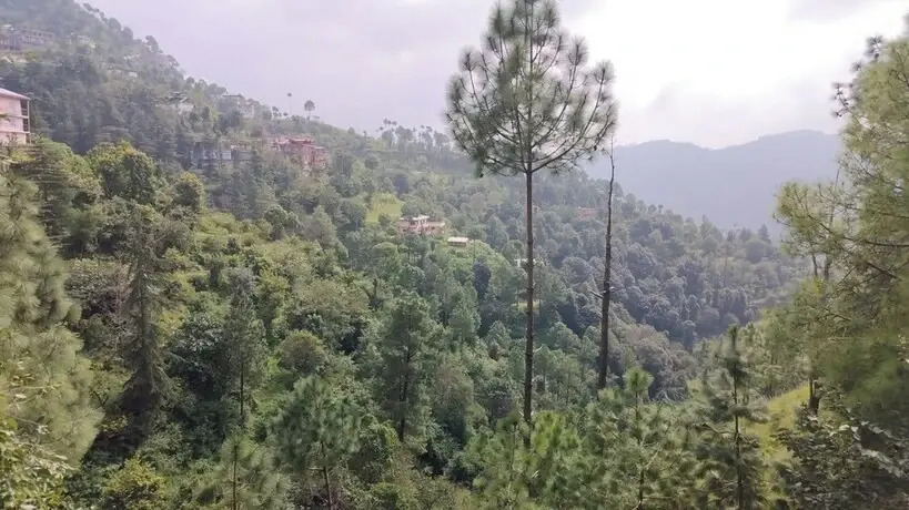 Шимла: Goroomgo Sukh Dham Homestay Shimla