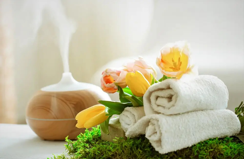 Массури: Punarnava Resort & Spa