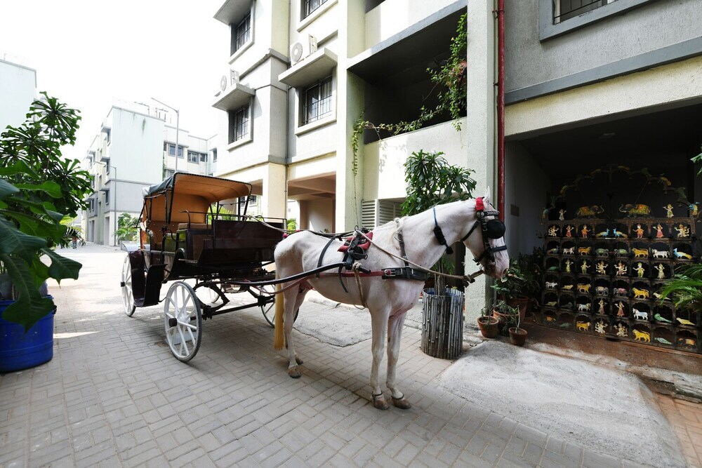 Гандхинагар: Bliss Serviced Apartments