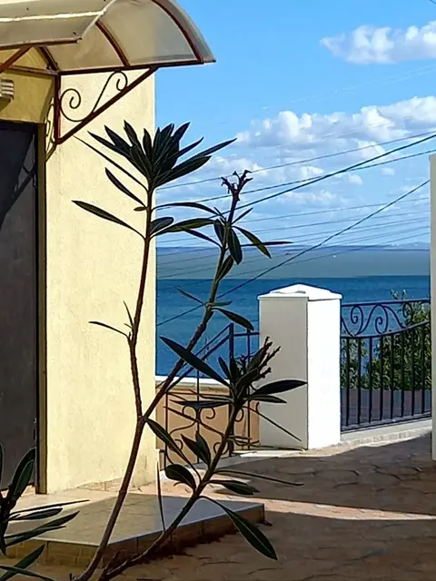 Керчь: Edelvejs Guest House