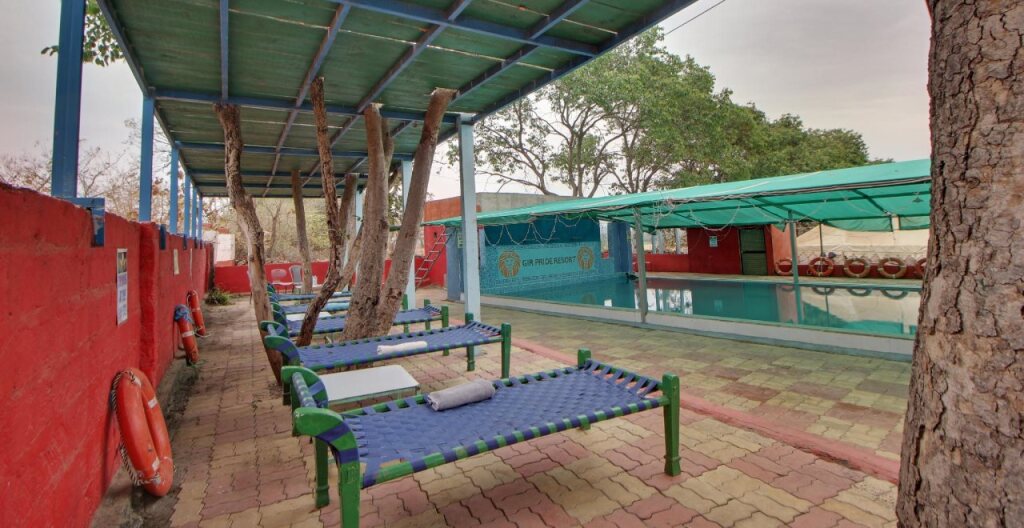 Сазан: Gir Pride Resort