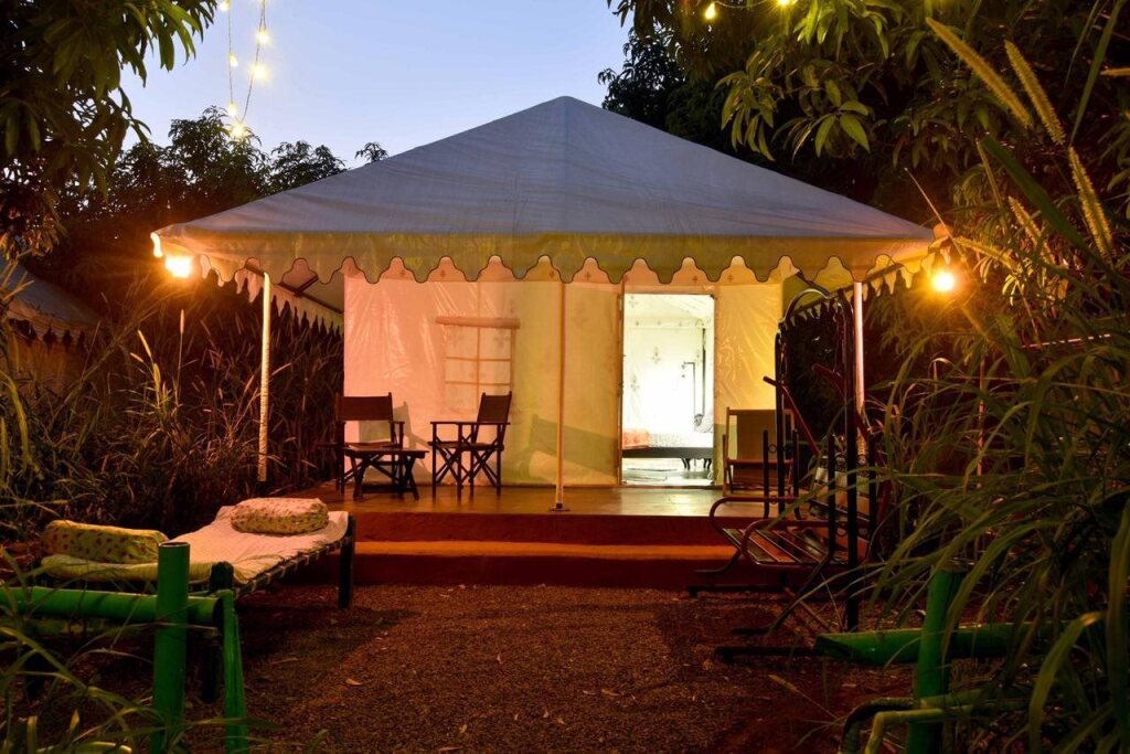 Сазан: Gir Pride Resort